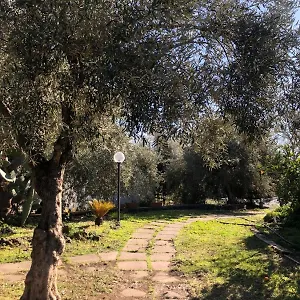 Casa L'ulivo Casa vacanze